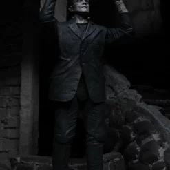 NECA - Universal Monsters - Ultimate Frankenstein's Monster (B&W) 7