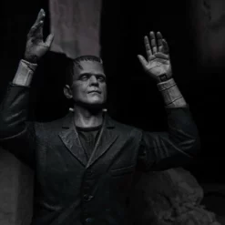 NECA - Universal Monsters - Ultimate Frankenstein's Monster (B&W) 7