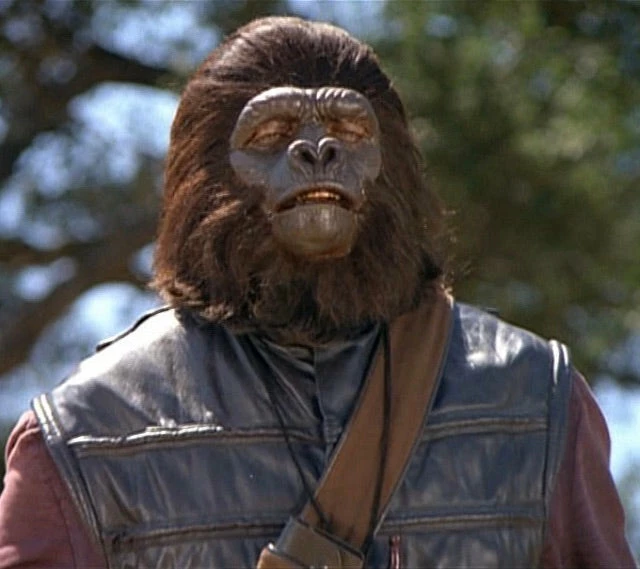 Mego Planet Of The Apes Wave 14 - Soldier Ape With Brown Bandolier 8" Action Figure Mego Planet Of The Apes Wave 14 - Soldier Ape With Brown Bandolier 8" Action Figure