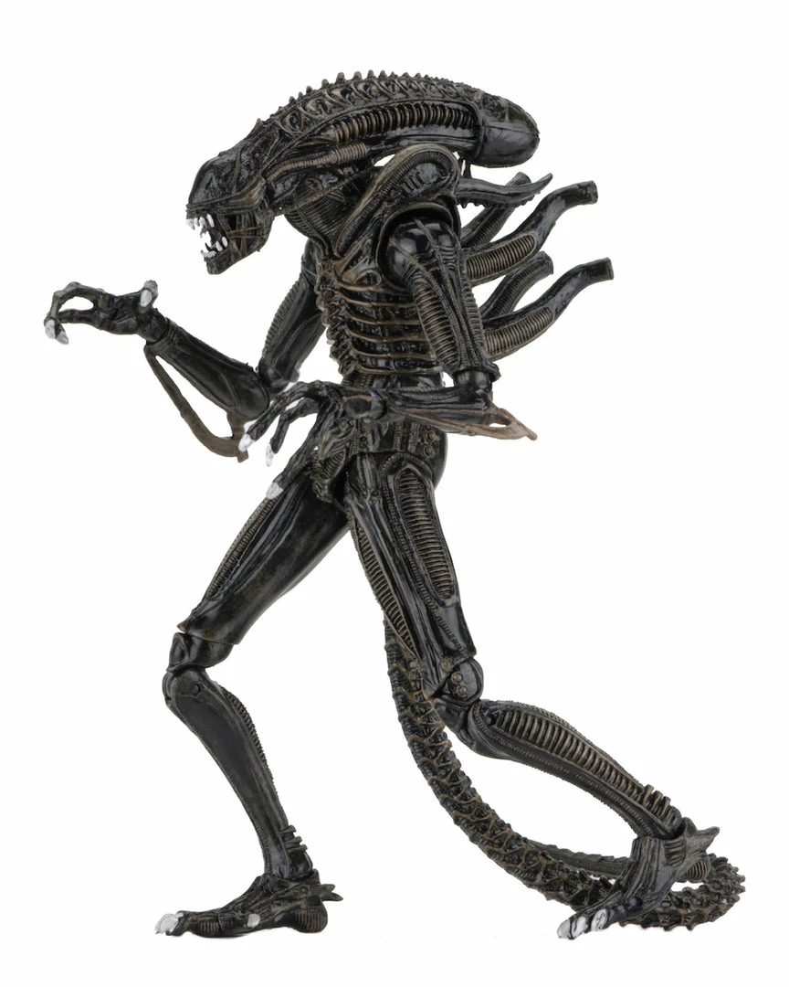 NECA - Aliens - Ultimate Alien Warrior (Brown) 7" Action Figure NECA - Aliens - Ultimate Alien Warrior (Brown) 7" Action Figure