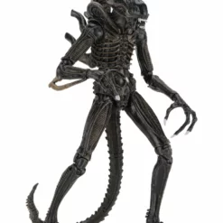NECA - Aliens - Ultimate Alien Warrior (Brown) 7" Action Figure 5 NECA - Aliens - Ultimate Alien Warrior (Brown) 7
