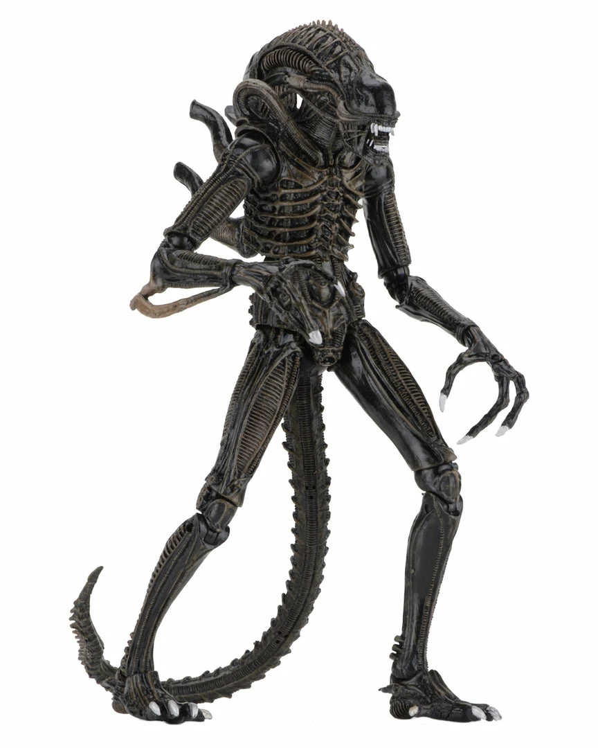NECA - Aliens - Ultimate Alien Warrior (Brown) 7" Action Figure NECA - Aliens - Ultimate Alien Warrior (Brown) 7" Action Figure