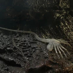 NECA - Aliens - 40TH Anniversary Wave 4 Set Of 3 - 7