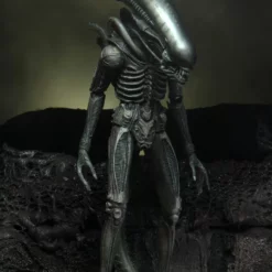 NECA - Aliens - 40TH Anniversary Wave 4 Set Of 3 - 7