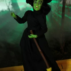 Mego Movies The Wizard Of Oz - Wicked Witch 8