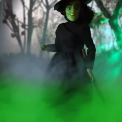 Mego Movies The Wizard Of Oz - Wicked Witch 8