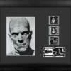 Film Cells LTD. The Mummy (Boris Karloff - 1932) Horror Presentation Film Cell 1 Film Cells LTD. The Mummy (Boris Karloff - 1932) Horror Presentation Film Cell